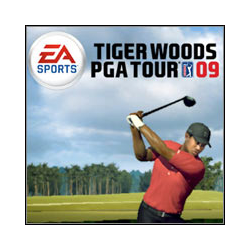 Tiger Woods PGA Tour 09 (używana) (Wii)