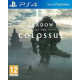 SHADOW OF THE COLOSSUS [POL] (nowa) (PS4)