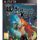 THE WITCH AND THE HUNDRED KNIGHT [ENG] (używana) (PS3)
