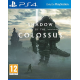 Shadow of the Colossus [POL] (używana) (PS4)