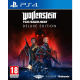 Wolfenstein Youngblood [POL] (nowa) (PS4)